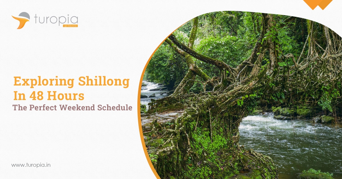 Exploring Shillong in 48 Hours: The Perfect Weekend Schedule