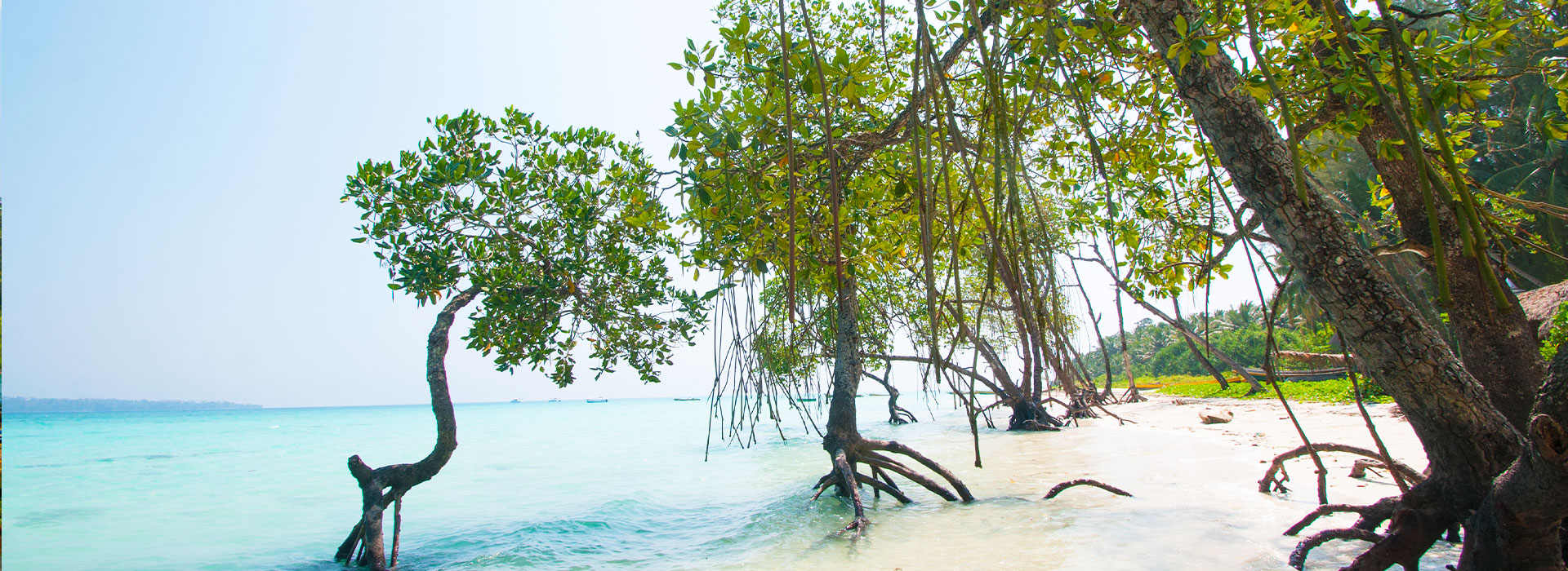 Beautiful Andaman